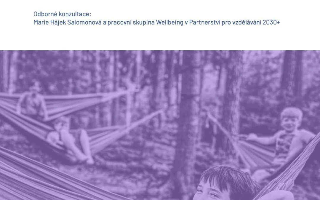 Průvodce wellbeingem pro vedoucí volnočasových aktivit: Spolu a v pohodě